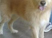 Fido sale passerella all’Off Bar, sfida all’ultimo