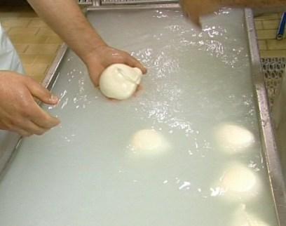 Mozzarella di bufala