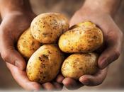 Come pelare sacco patate minuto (VIDEO)