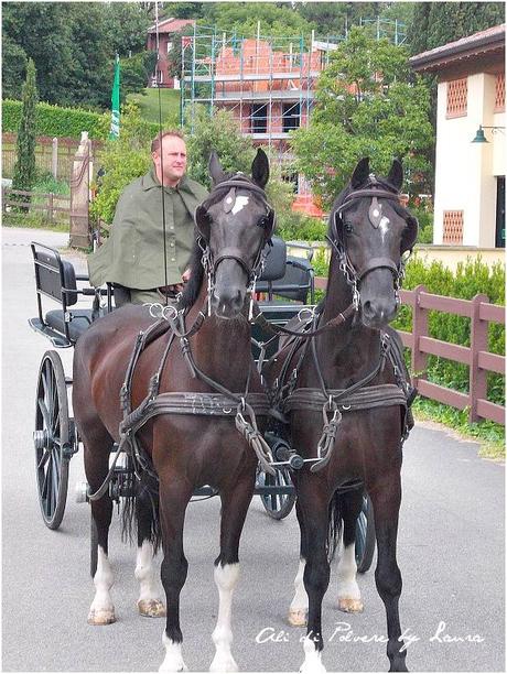 Un giro in carrozza tra passato e presente