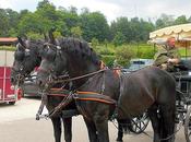 giro carrozza passato presente