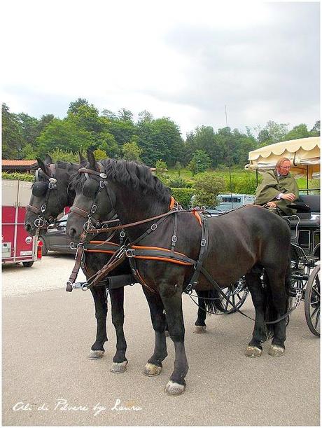 Un giro in carrozza tra passato e presente