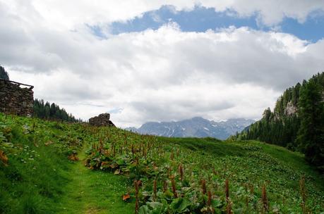 Anello di Bordaglia e Passo Giramondo