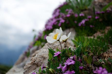 Anello di Bordaglia e Passo Giramondo