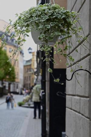 vaso di fiori a Stoccolma