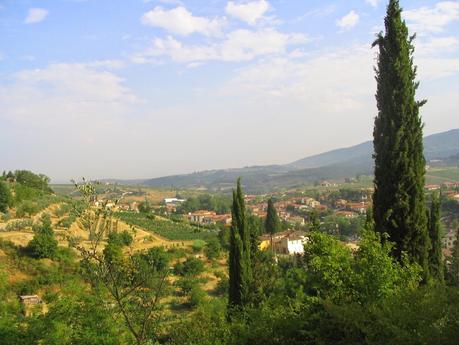 IL CIPRESSO, UNO DEI SIMBOLI DELLA TOSCANA E DEL CHIANTI