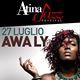 29º Atina Jazz Festival – Atina dal 19 al 27 luglio 2014