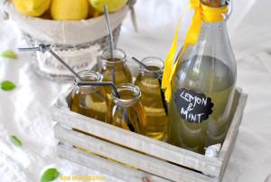 sciroppo limone e menta - Gluten Free Travel and Living