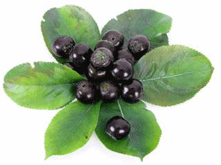 Bacche di Aronia