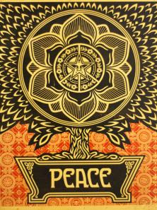 (c)  Frank Shepard Fairey