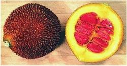 Il frutto esotico dal nome Gac