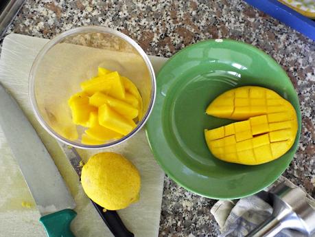 Gelato al cocco con salsa al mango