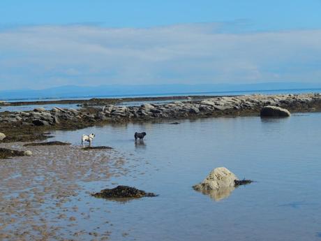 Isola di Arran