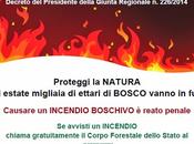 bruciare materiale agricolo forestale giugno settembre 2014 perché stato dichiarato grave pericolosità incendi tutte aree boscate, cespugliate, arborate pascolo della Regione Puglia