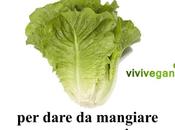 violenza vegani