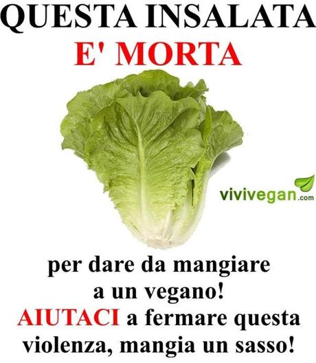 La violenza dei vegani