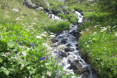 l'acqua rumorosa