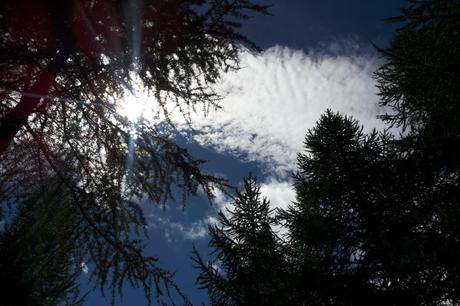 le ciel depuis le bois de Montgenevre