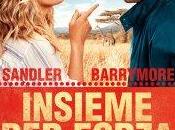 INSIEME FORZA (Blended)