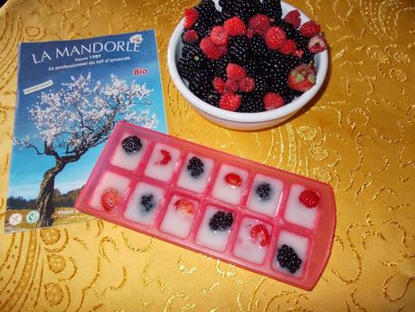 Cubetti di ghiaccio con latte di mandorla e frutta (fragole&more)