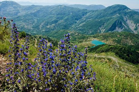 Albania 3: La via dei monti