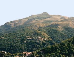 San_Pedrone_cambia_castagniccia_corsica