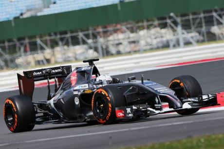 Giedo-van-der-Garde_Test_day2_Silverstone_2014 (3)