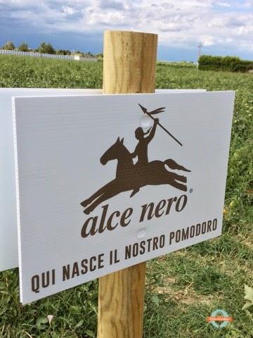 Evento alce nero #contadinovero #pomodoroverissimo e il gazspacho difragole e pomodori con nuvole di maionese vegetale, erbe e fiori delloChef Simone Salvini