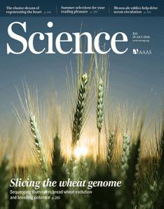 scienceWheatGenome