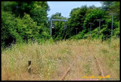 la ferrovia Siena - Grosseto a Roccastrada