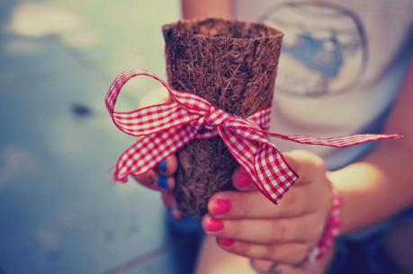 Prodotti in prova, Vasi in fibra di cocco di Terriccio Pratiko 2