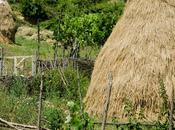 Albania Bunker laghi