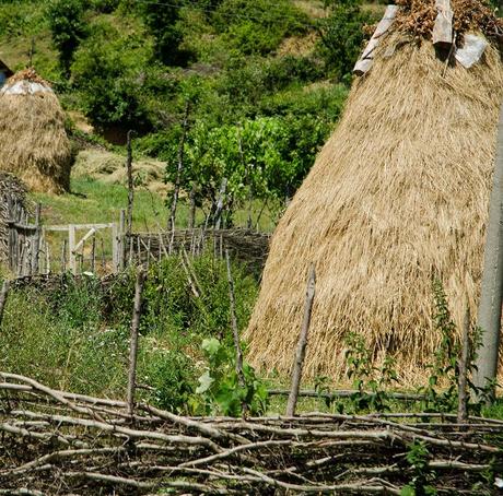 Albania 6: Bunker e laghi