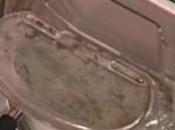 Savarin polenta, seppioline verde crema peperoni