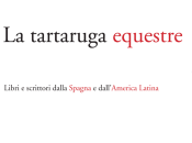 tartaruga equestre