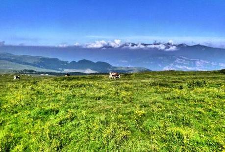 #19072014 #mtb #lessinia #olympia #blast #full #26 #caldo #sudore #boasse