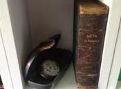 Crisi epilettiche letterarie