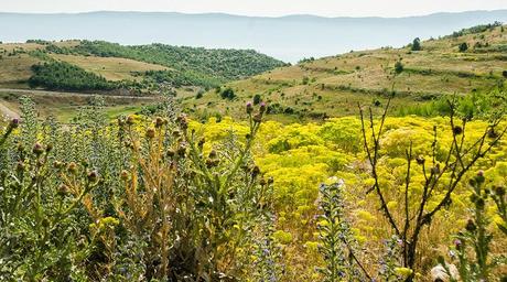 Albania 7: Il lago di Okrit