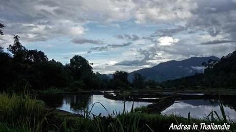 Corso base da Mahout a Chiang Mai: primo giorno