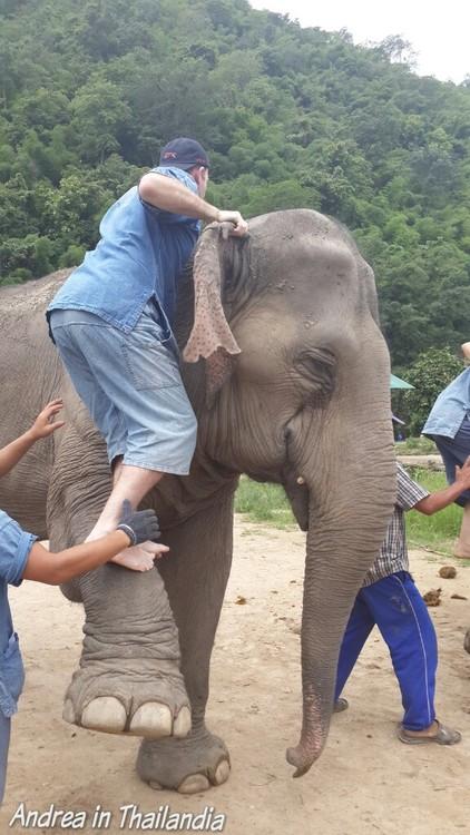 Corso base da Mahout a Chiang Mai: primo giorno