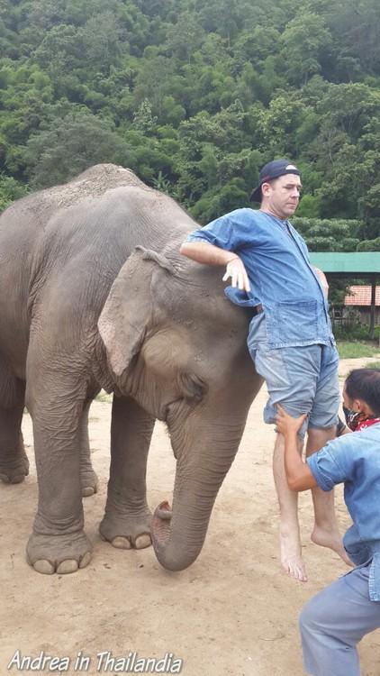 Corso base da Mahout a Chiang Mai: primo giorno