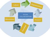 Performance Management, Business Model Learning Organization