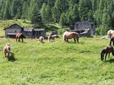 amazing tiny village: Cheneil, Valle d'Aosta