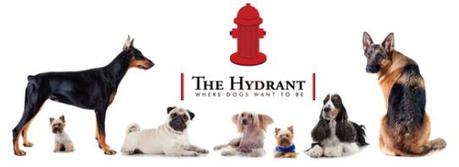 the-hidrant