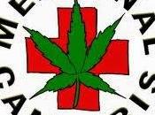 Cannabis terapeutica, approvata legge anche Emilia Romagna