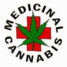 Cannabis terapeutica, approvata la legge anche in Emilia Romagna