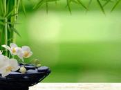 Feng Shui, fiore buon umore