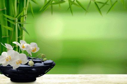 Feng - Shui, il fiore del buon umore