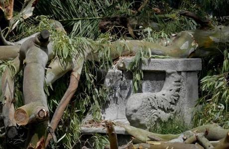 Napoli, cade ramo in Villa Comunale rompendo panchina di pietra