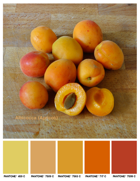 albicocca, apricot, fruit, food, foodcolor, red, yellow, rosso, giallo